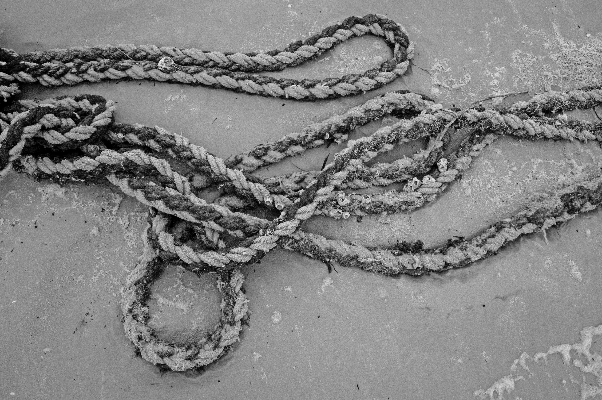 Ropes, twisted, laying on the sand