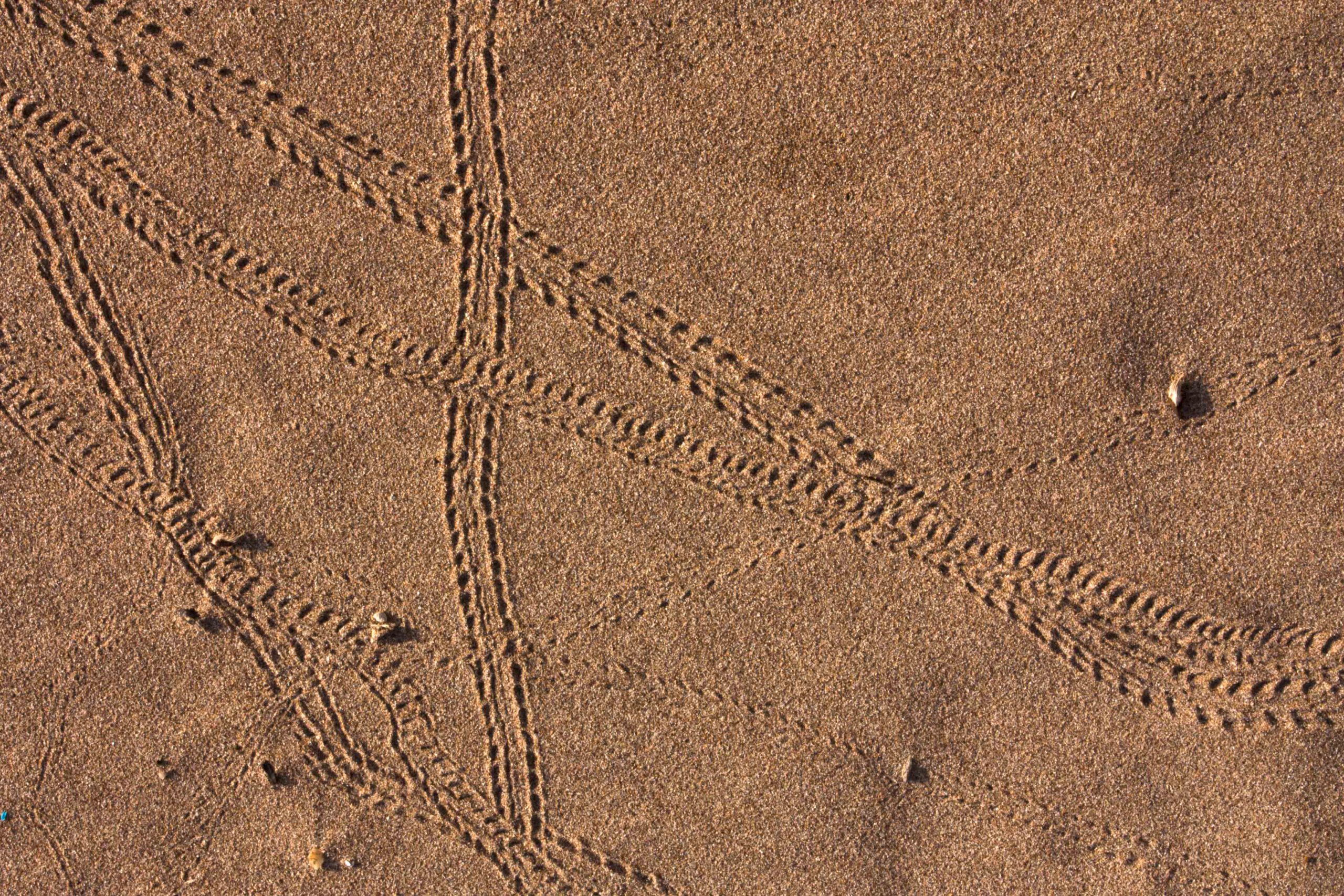 Tracks in the Australian outback